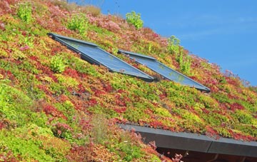 Ormskirk living roof systems